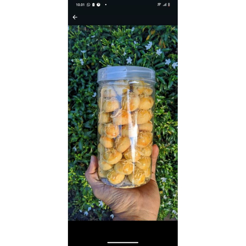 

Nastar Keju rasa ngeju poll