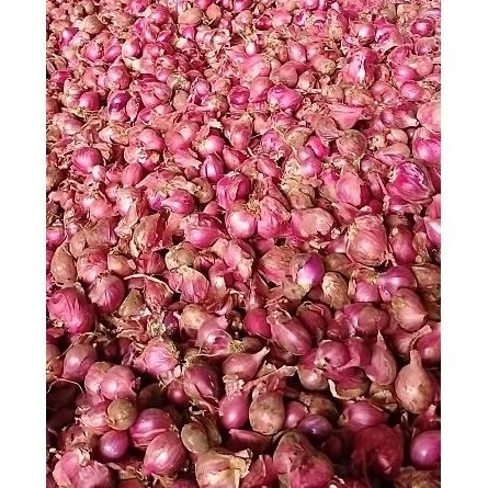 

bawang merah kering sedang sedang kecil merah merona 1kg