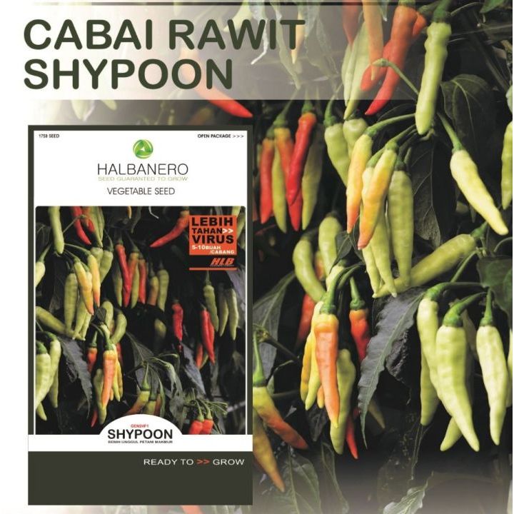 15 Biji - Benih Cabe Rawit Shypoon Buah Bergerombol Benih Sayuran Cabai Rawit Viral Unggul Produktiv