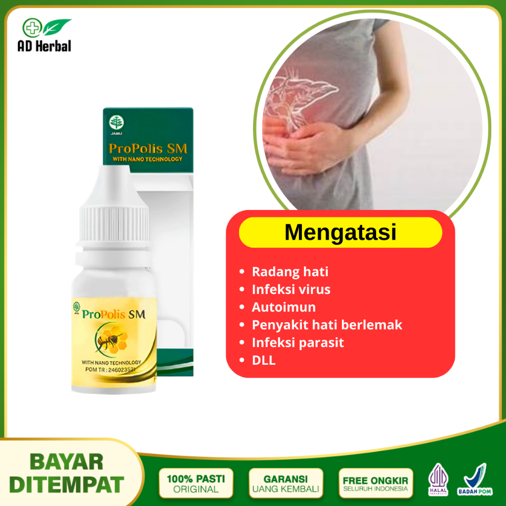 obat liver bengkak, pembengkakan pada liver Limpa Hepatitis A B C Sirosis propolis sm 100% alami