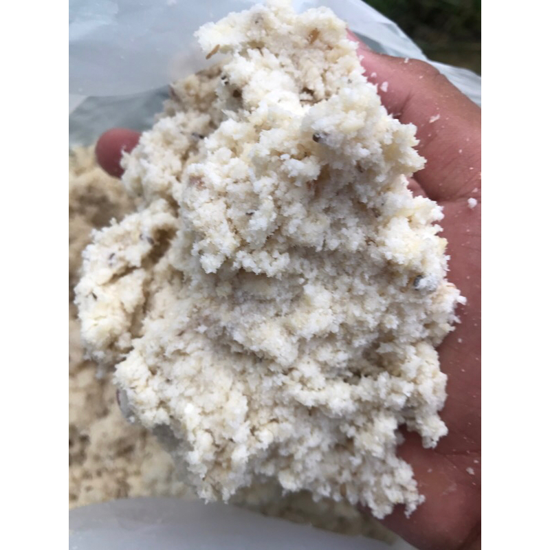 

ampas tahu fermentasi mamel
