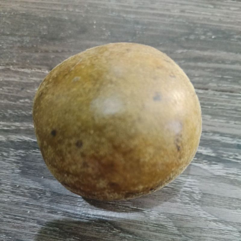 

Buah Louhankuo Lohan Guo untuk meredakan panas dalam