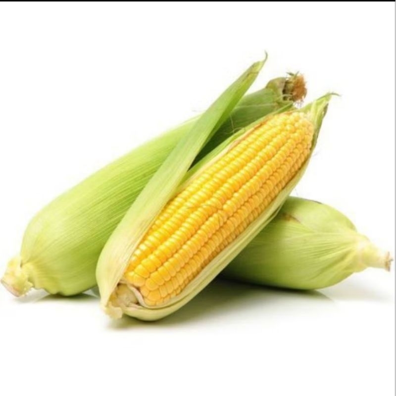 

jagung manis isi 3 pcs