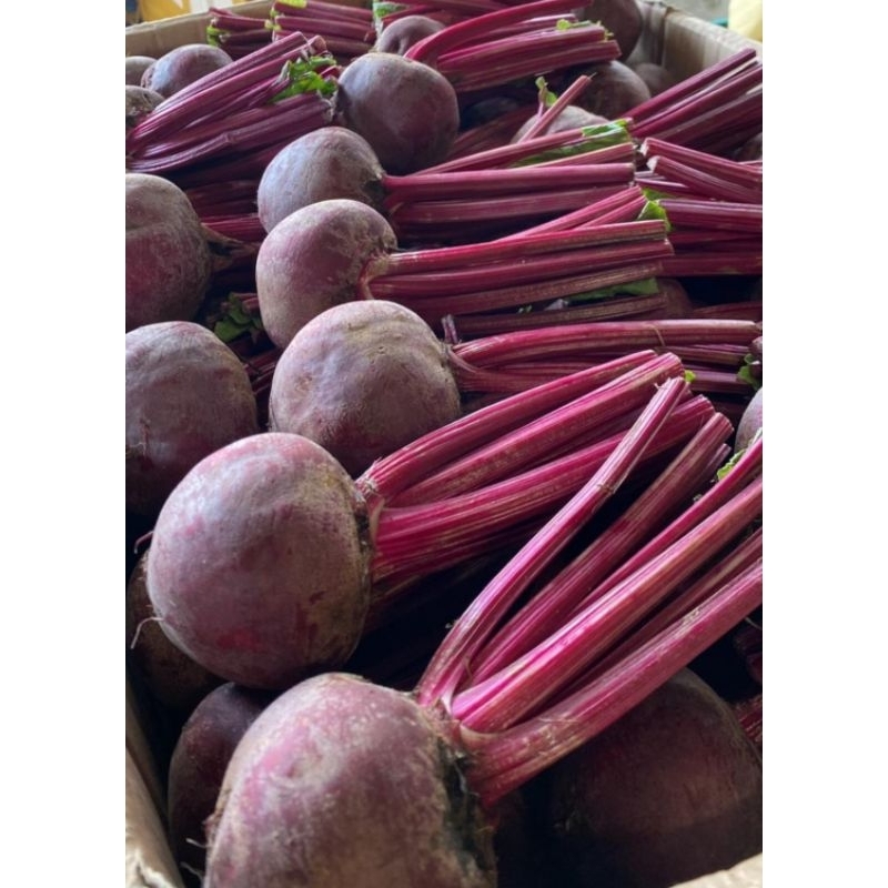 

termurah terlaris buah bit beet root organik 1kg fresh untuk pengobatan kesehatan pengiriman boyolali