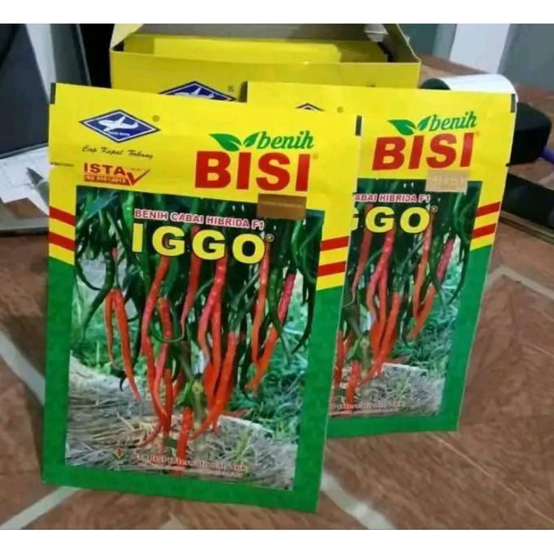 benih cabe iggo f1 10 gram