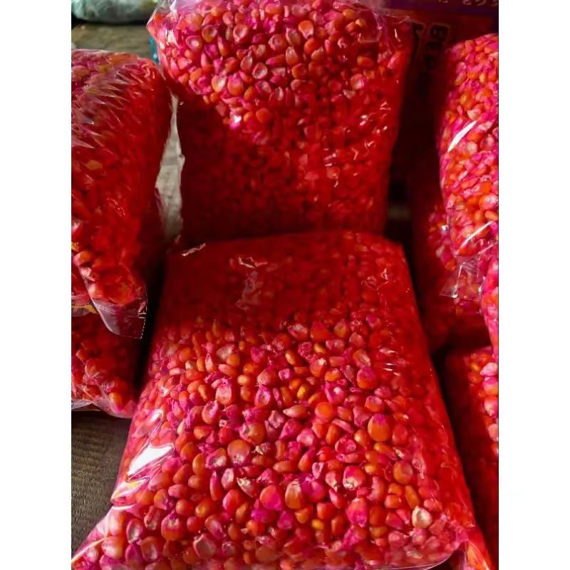 1kg benih jagung NK 212 super bibit unggul