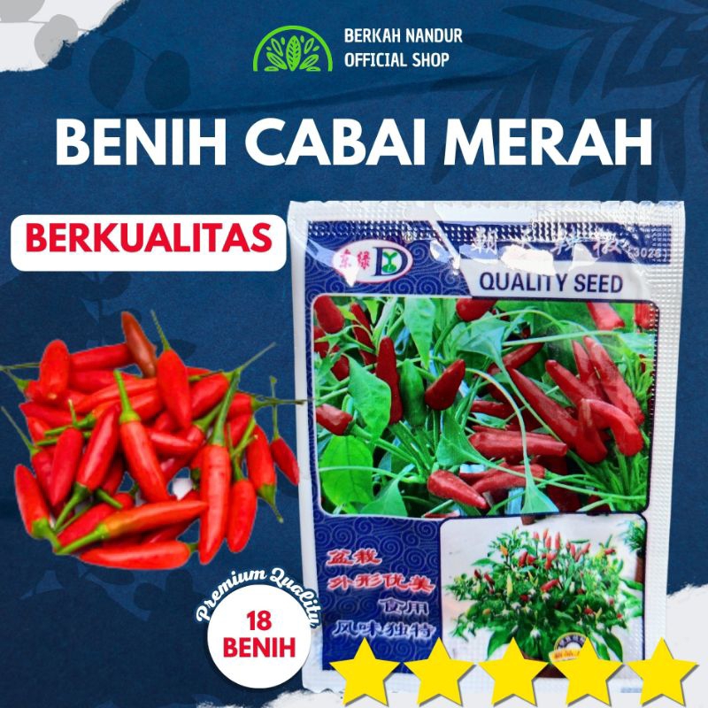 Benih Cabe Rawit Merah 18 biji Benih Cabai Rawit Merah