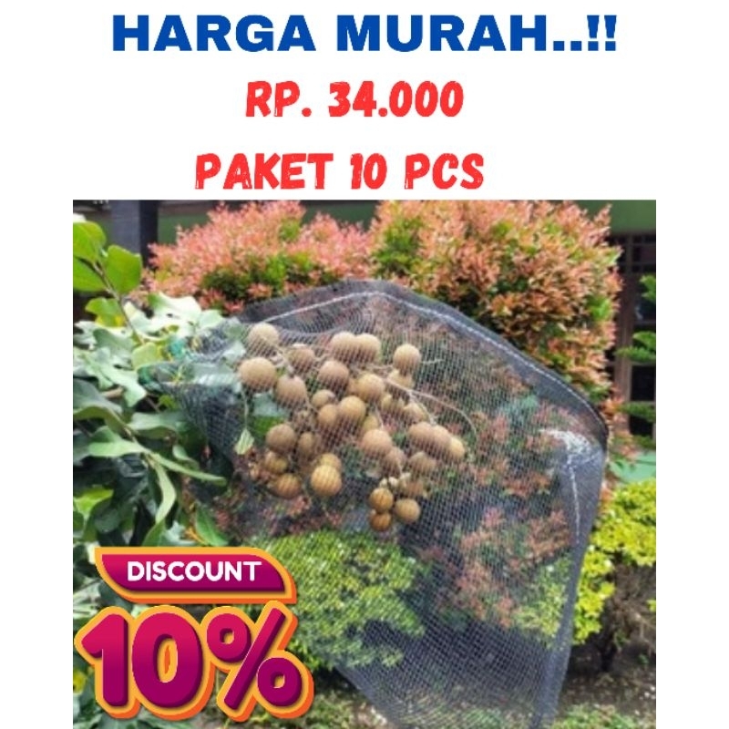 10 PCS Brongsong buah kelengkeng jaring buah kelengkeng jaring kelelawar jaring pengaman buah JARING