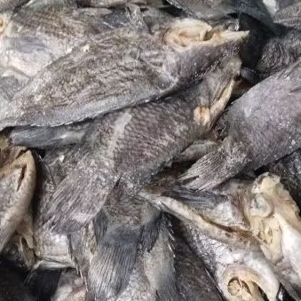 

IKAN WADI PAPUYU