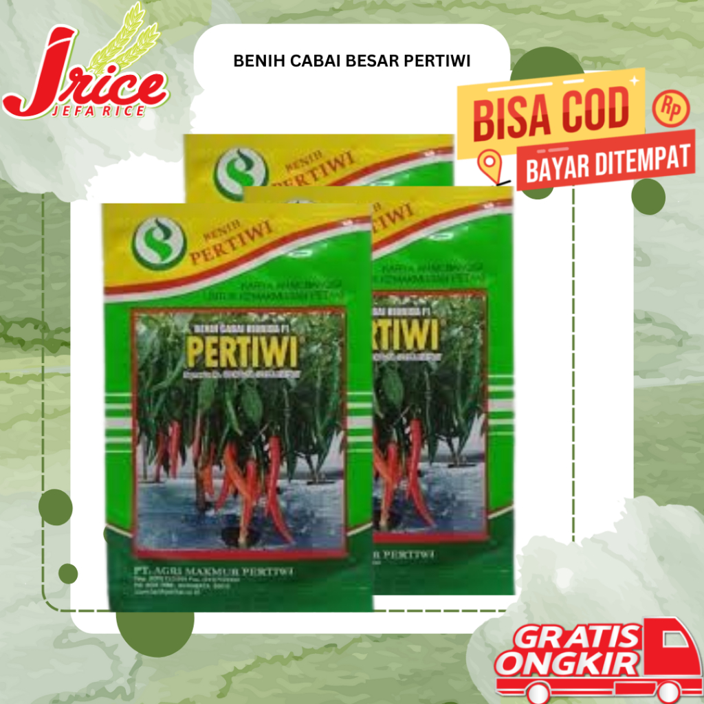 BENIH CABAI BESAR BIBIT CABE PERTIWI F1 10 GRM
