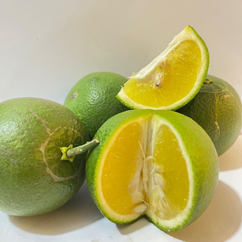 

Jeruk Baby 500gr