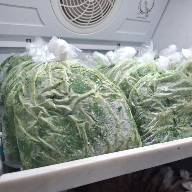 umpan olahan pelet magot