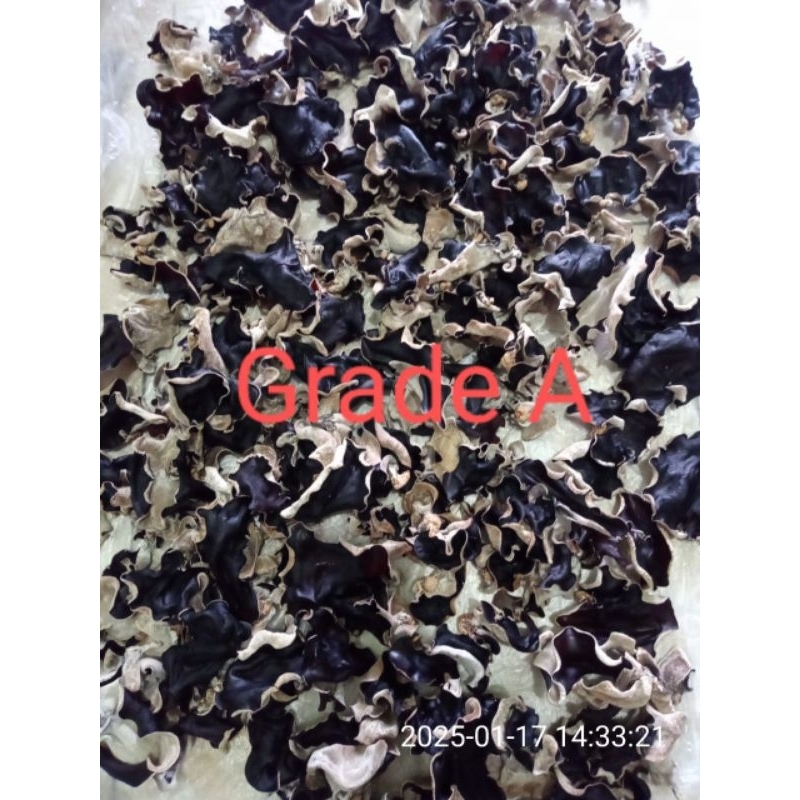 

jamur kuping termurah