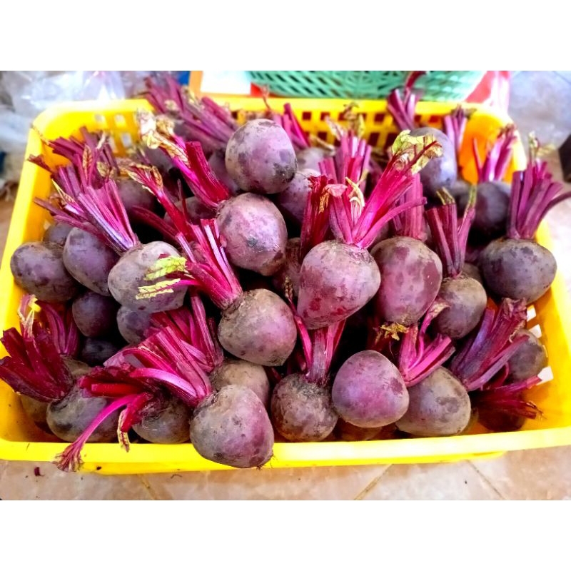 

Buat bit segar 1kg