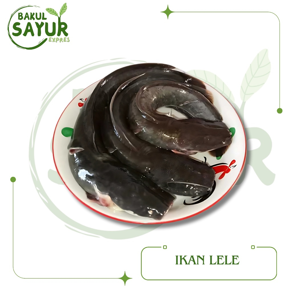 

Ikan Lele Segar Bersih | Bakul Sayur Expres