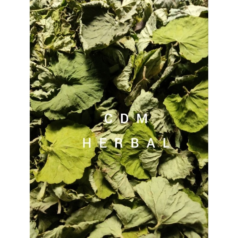 

daun teh pegagan kering husus daun nya 250 grm