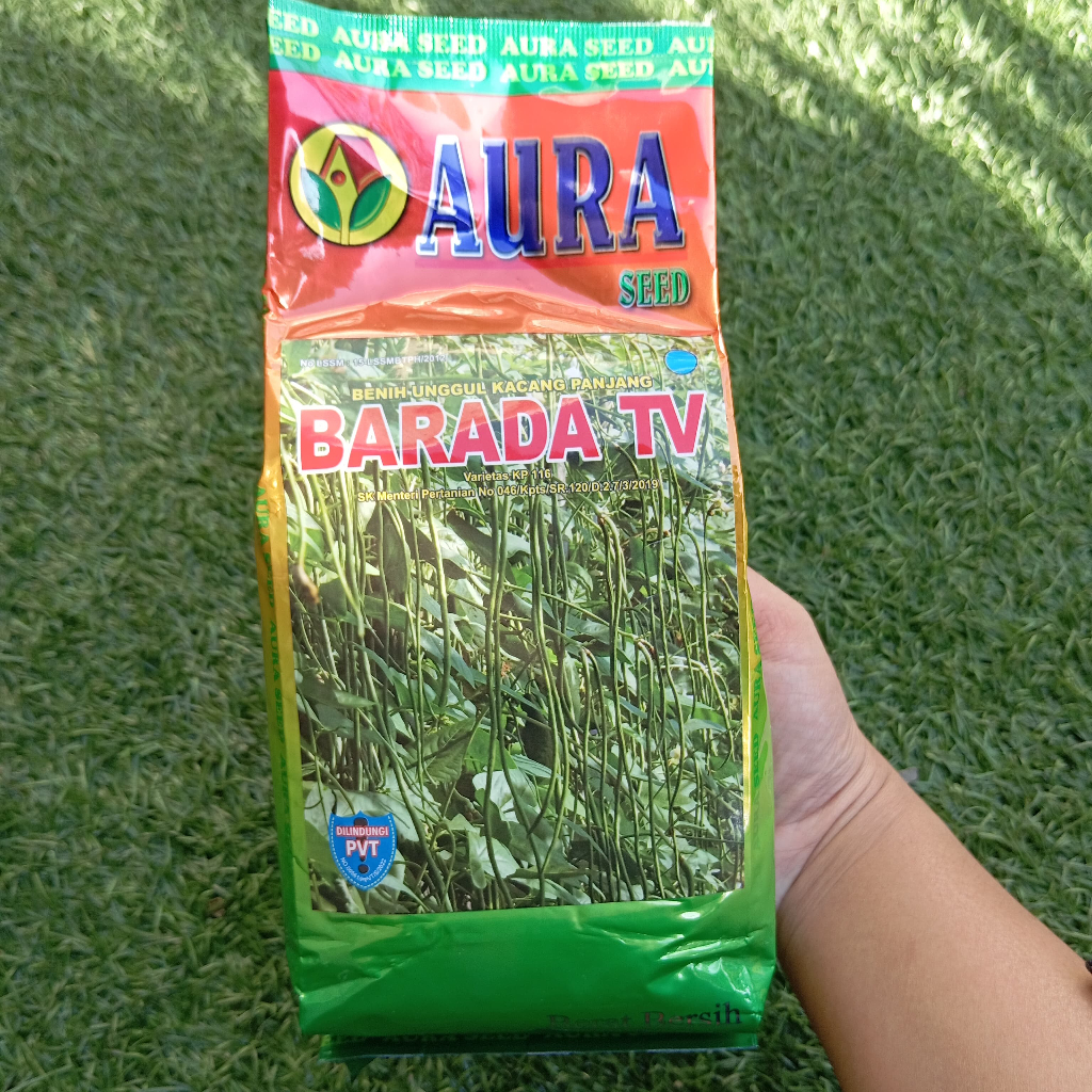 Benih Kacang Panjang BARADA TV Aura Seed 500 Gram