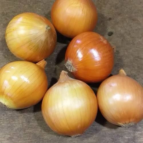

Bawang Bombay Besar 1kg Uk 60/80