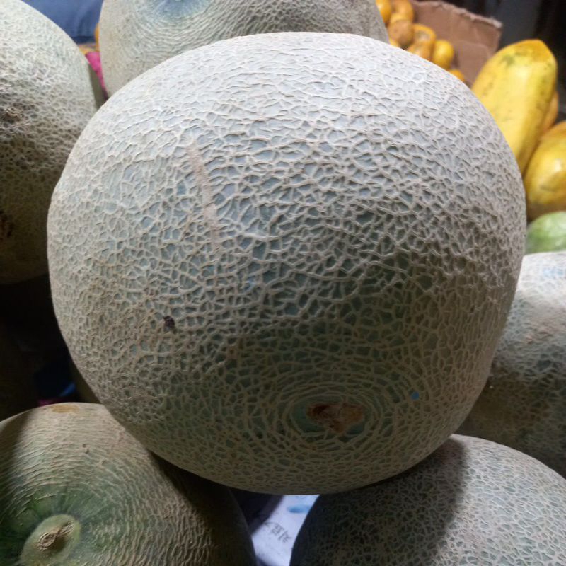 

Melon manis