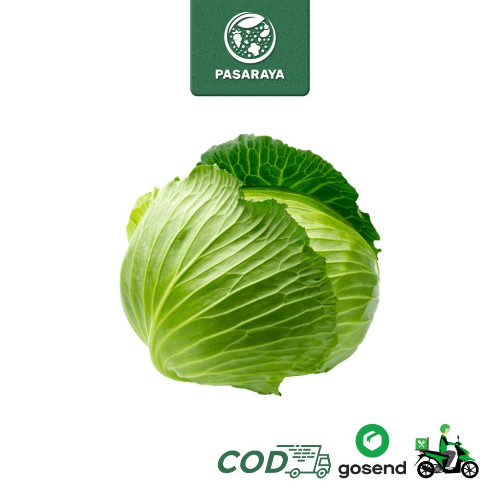 

Sayur Segar Kol Putih Sayur Padang - Pasaraya