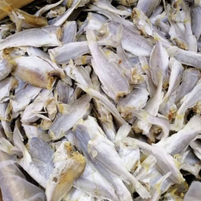 

ikan gelama tidak ada kepala kemasan 1 kg