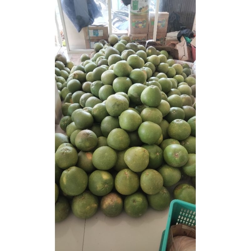 

JERUK PAMELO MADU PATI BERAT 10 KG UKURAN BISA RIQUES