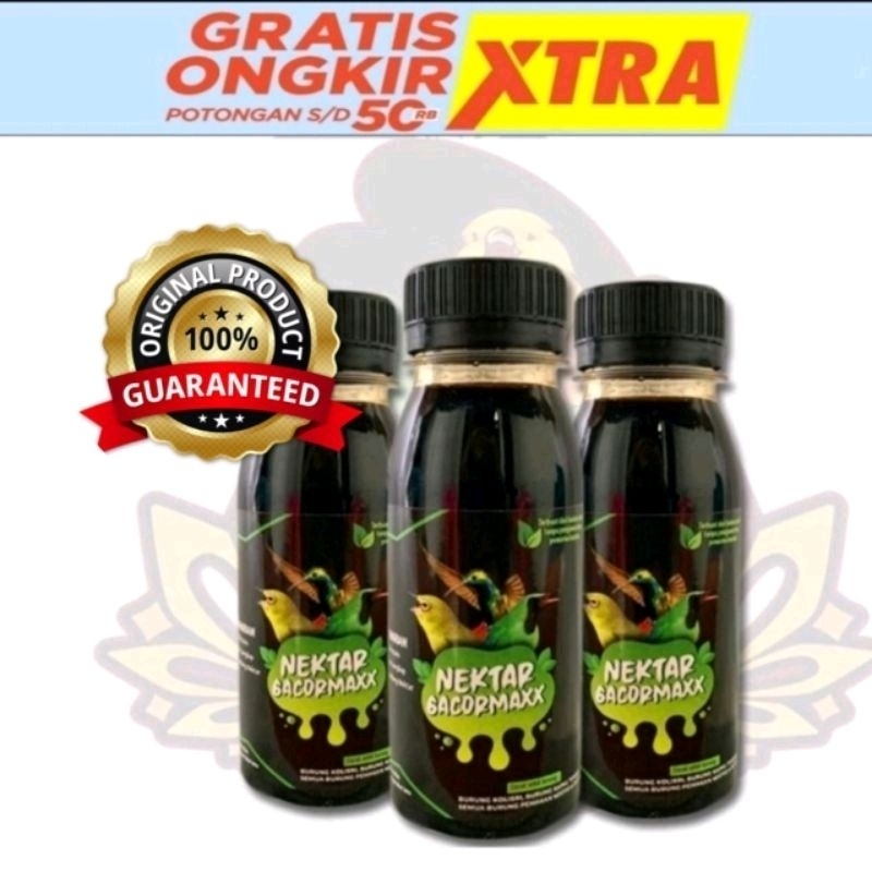 Nektar gacormaxx universitas burung gacor maxx max nekstar nextar konin kolibri sogon madu Makanan b