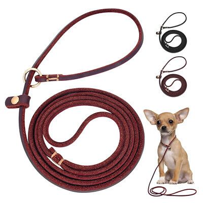 Training Leash - Dog Leash