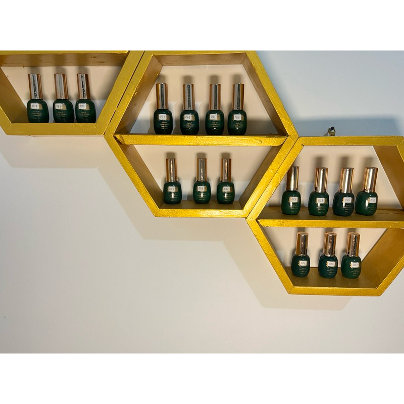 CHARZIEG GEL POLISH [PRELOVED]