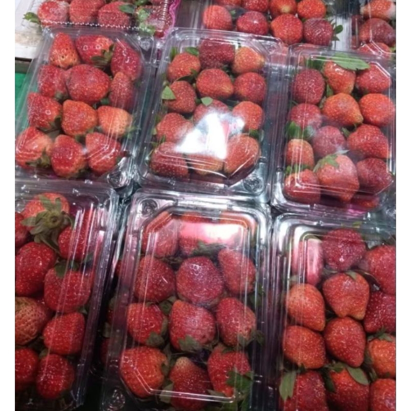 

setrowberry segar 1kg