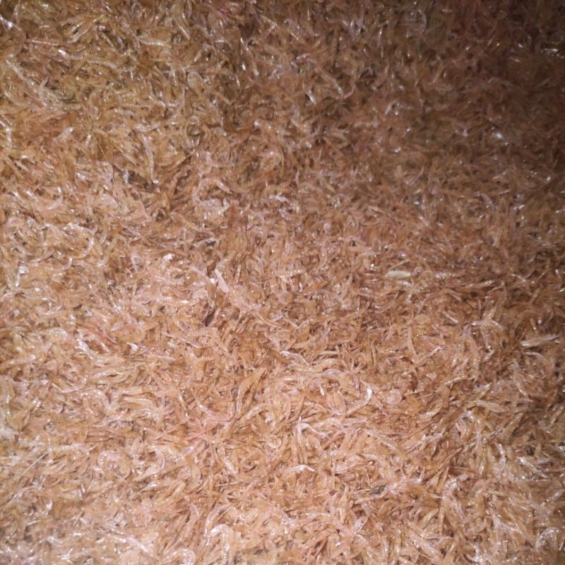 

Ebi Kering (Ambaring)