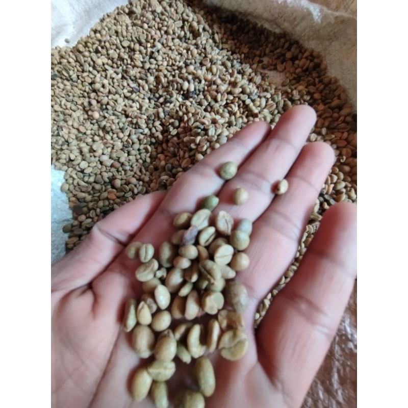 

kopi robusta muria mentah 1kg