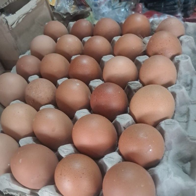 

Telur Ayam Negeri Cisoka isi 5 kg