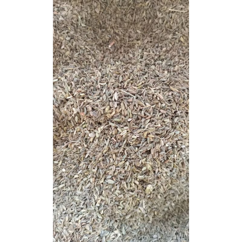 

Adas jawa /Biji adas jamu