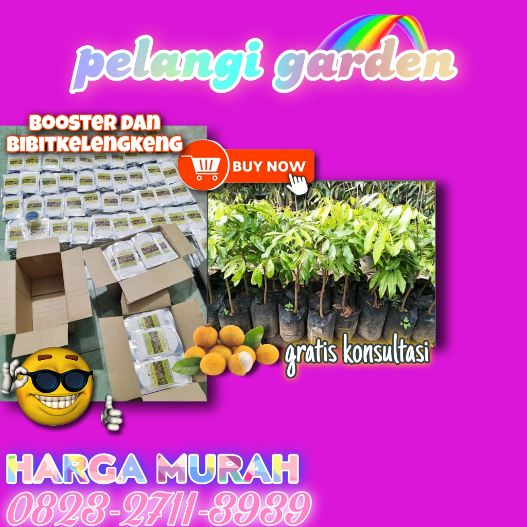Booster Kelengkeng Pingpong Cangkok, Booster Kelengkeng Sodium, Booster Kelengkeng Serbuk, Booster K