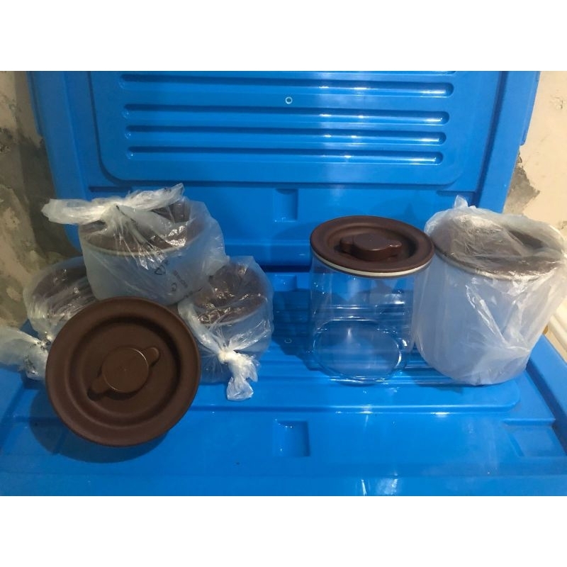 toples besar (2pcs) by tupperware