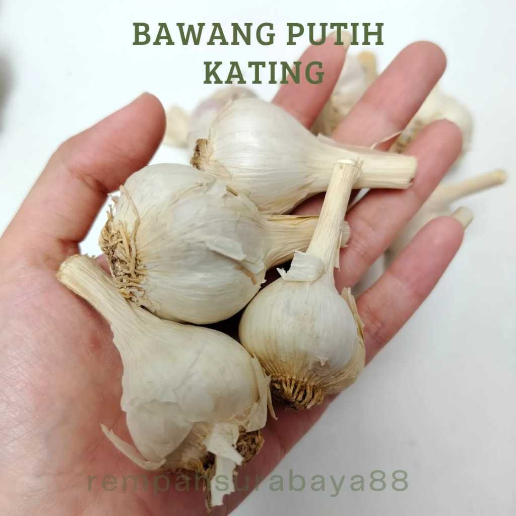 

BAWANG PUTIH KATING SUPER BAWANG PUTIH KATING FRESH