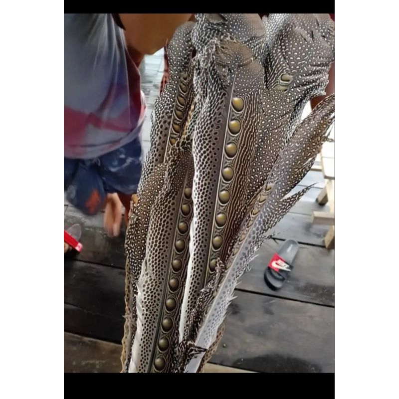 bulu ruai hiasan dayak