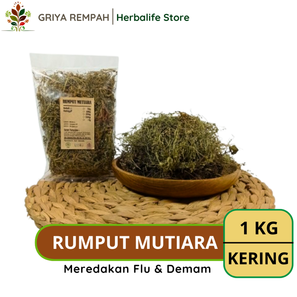 

RUMPUT MUTIARA KERING 1 KG Siku Siku Rempah Herbal Simplisia Alami untuk Kesehatan & Ramuan Jamu Tradisional Oldenlandia
