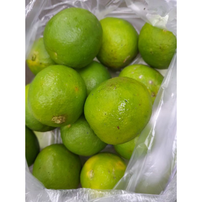 

jeruk nipis/jeruk pecel baru petik berisi 5buah (boleh request variasi) Rp3000