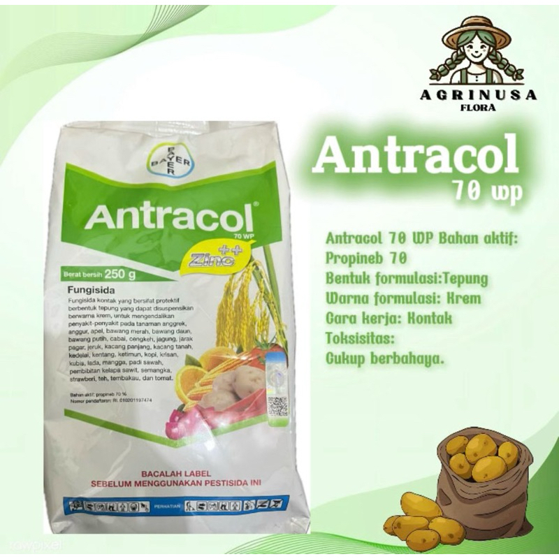 Fungisida Antracol 250gr