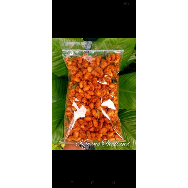 

KACANG THAILAND