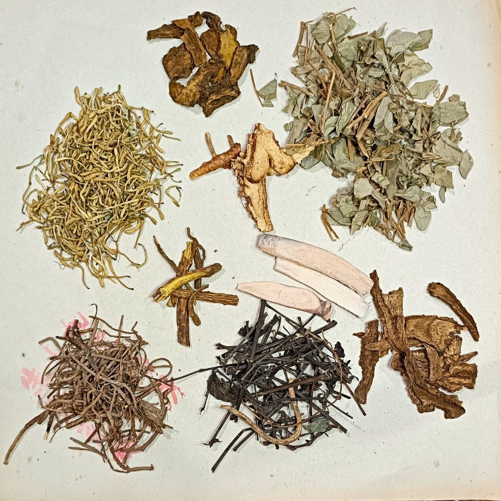 

Ramuan Herbal untuk Batu Empedu