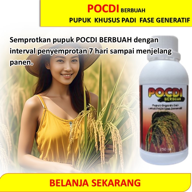 Pupuk organik cair padi fase generatif/ Pupuk padi / pupuk padi generatif / POC padi generatif / pup
