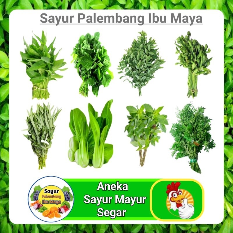 

Sayur Mayur Kangkung / Bayam / Katuk / Genjer / Daun Ubi / Pakcoy / Kemangi / Kenikir Segar Fresh 1 Ikat - Palembang