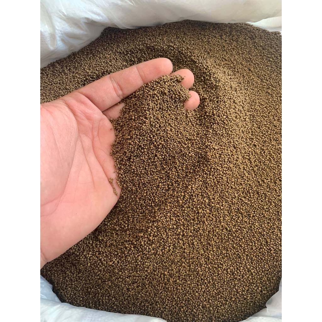 GAL Pelet pakan bibit ikan kecil super (1kg) ikan hias koki glofish cupang neon cardinal danio