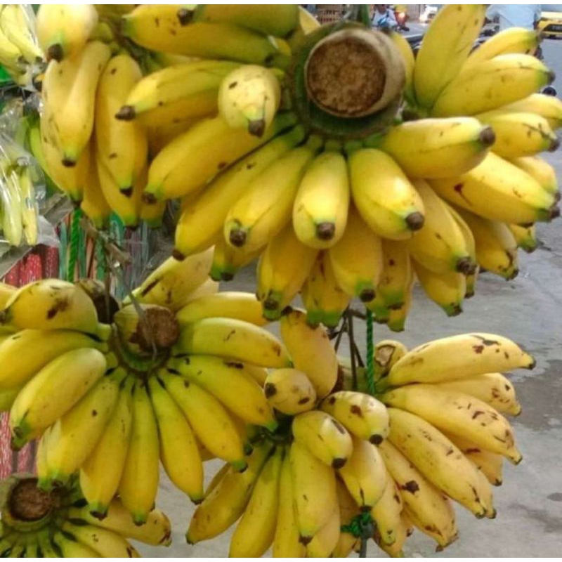 

pisang muli per 1sisir