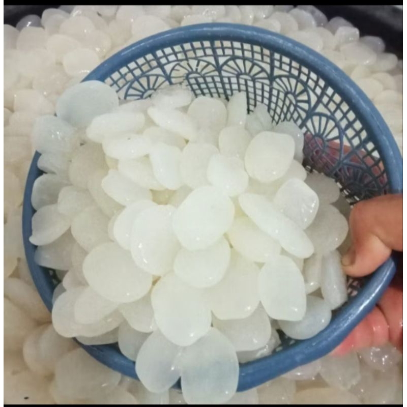 

Kolang kaling mentah segar 1kg