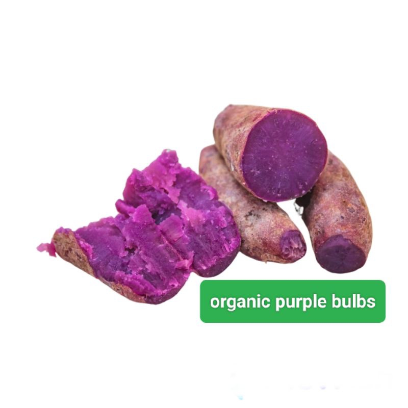 

UMBI UNGU 1 KG ORGANIC UMBI RAMBAT