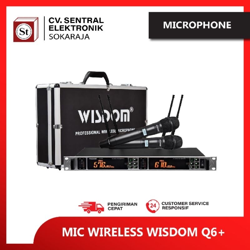 MIC WIRELESS WISDOM Q6+